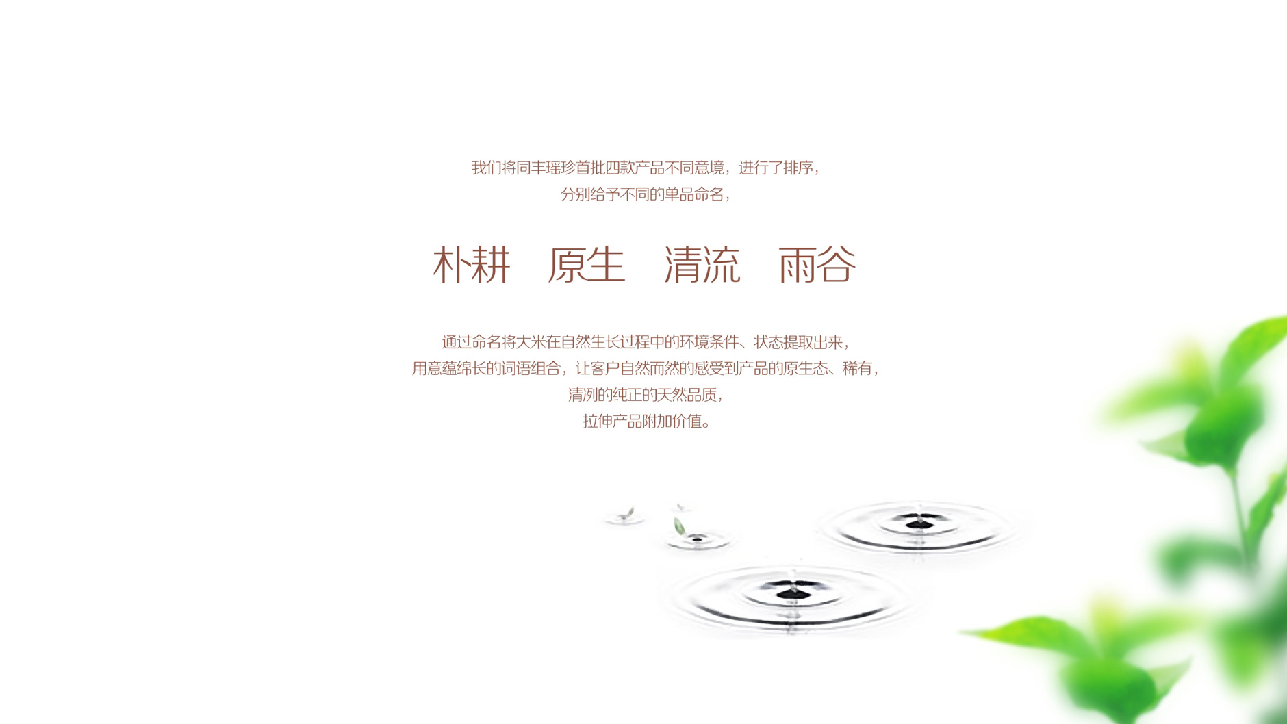 3a09c90f5c357e08ba08cceb716bd819.jpg 01-02.jpg