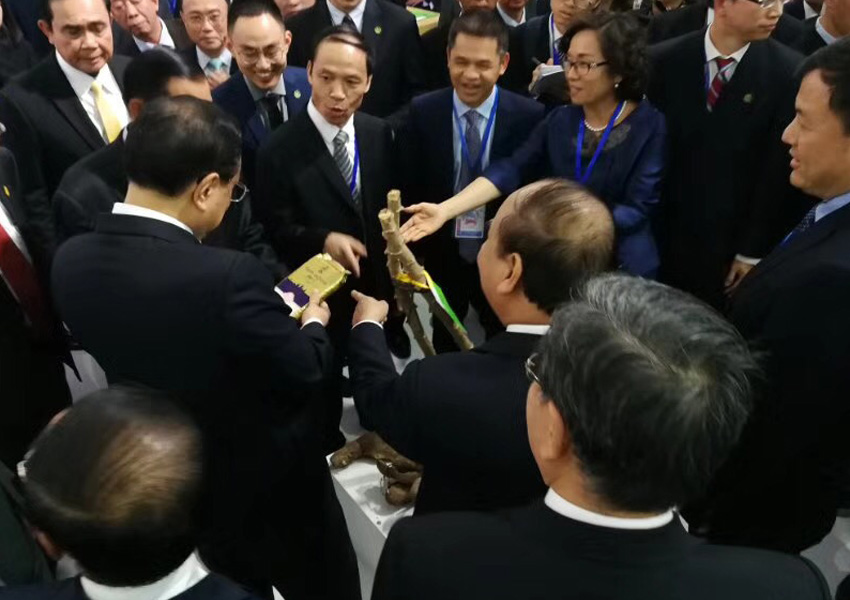 李克強總理（lǐ）親臨（lín）參觀國宏集（jí）團展位